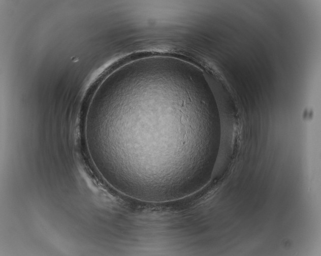 X0000110970532200906191337