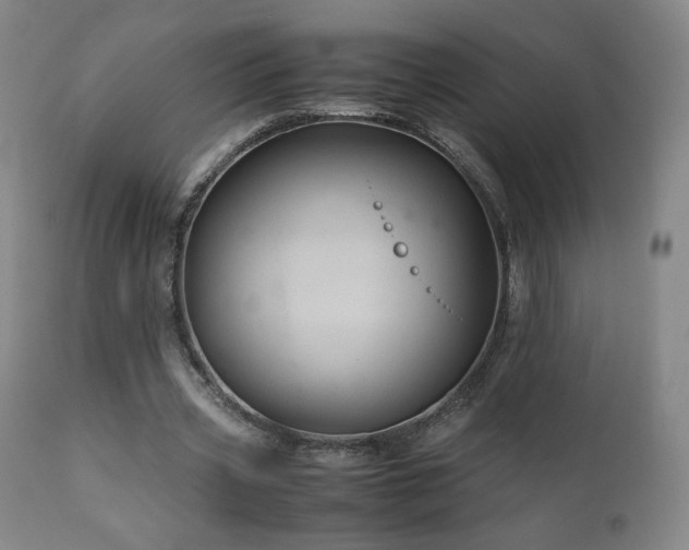 X0000110970533200906191337