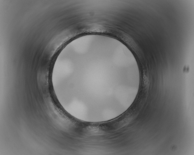 X0000110970534200906191337