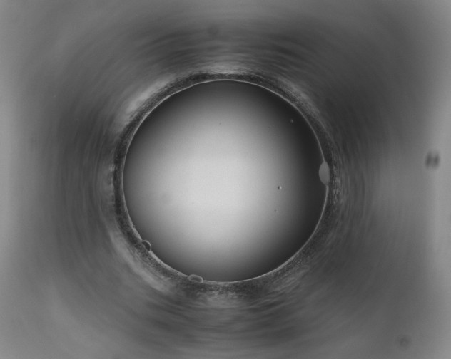 X0000110970535200906191337