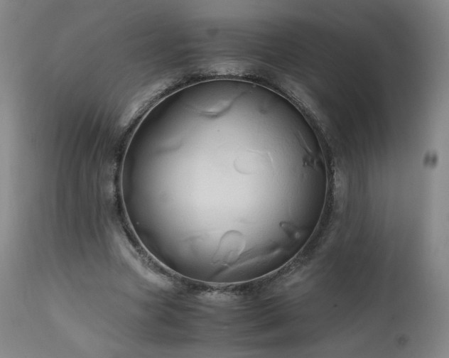 X0000110970537200906191337