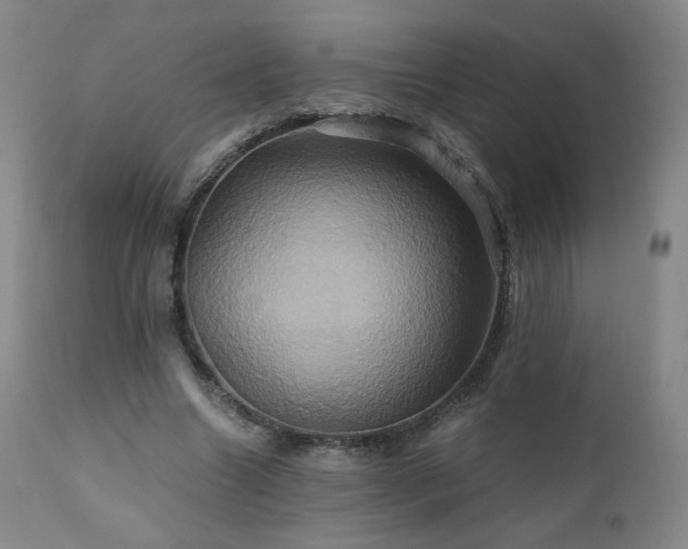 X0000110970538200906191337