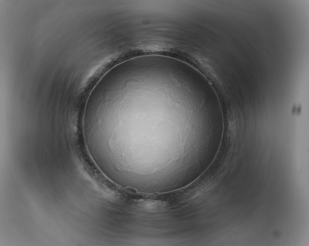 X0000110970539200906191337