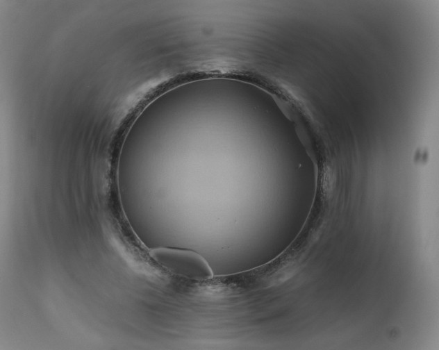 X0000110970540200906191338