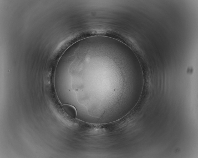 X0000110970543200906191338