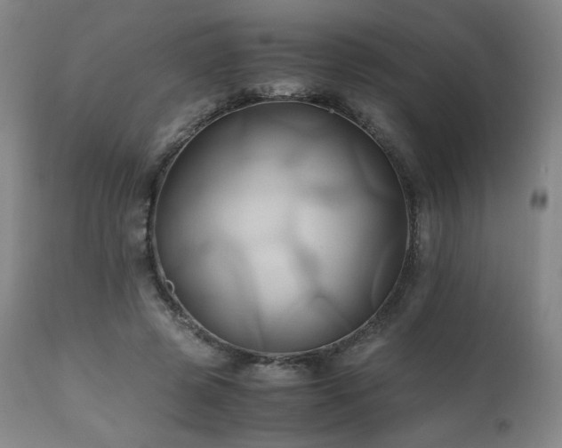 X0000110970545200906191338