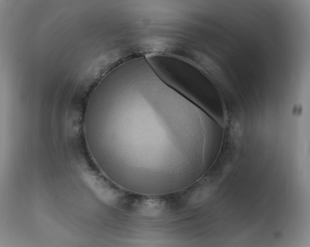 X0000110970546200906191338