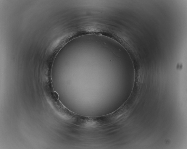 X0000110970547200906191338