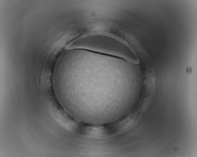 X0000110970548200906191338