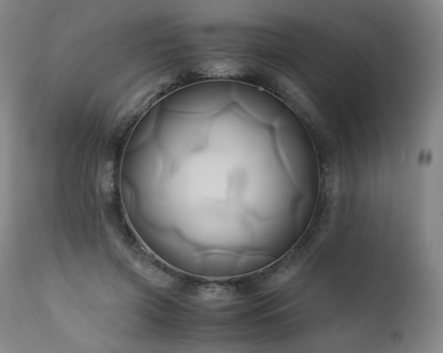 X0000110970549200906191338