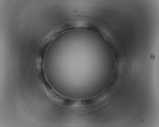 X0000110970550200906191338