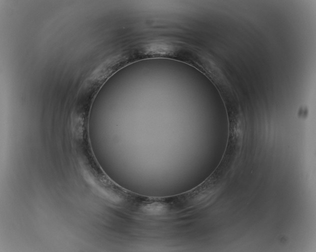 X0000110970551200906191338