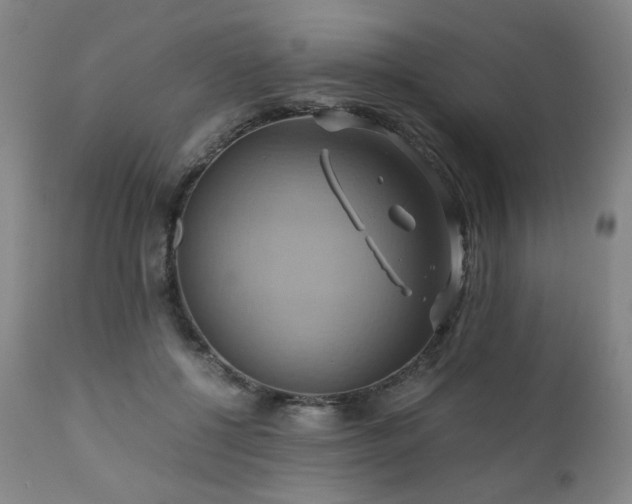 X0000110970552200906191338