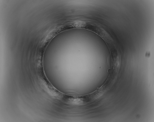 X0000110970553200906191338