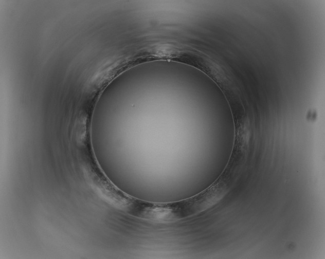 X0000110970554200906191338