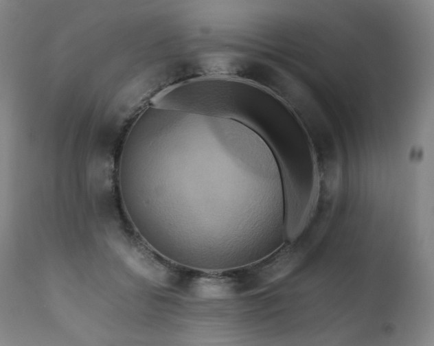 X0000110970556200906191338