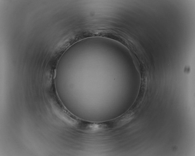 X0000110970558200906191338