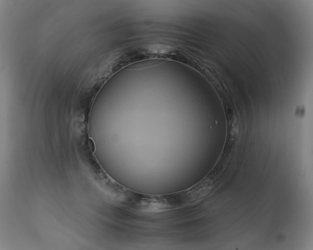 X0000110970559200906191338