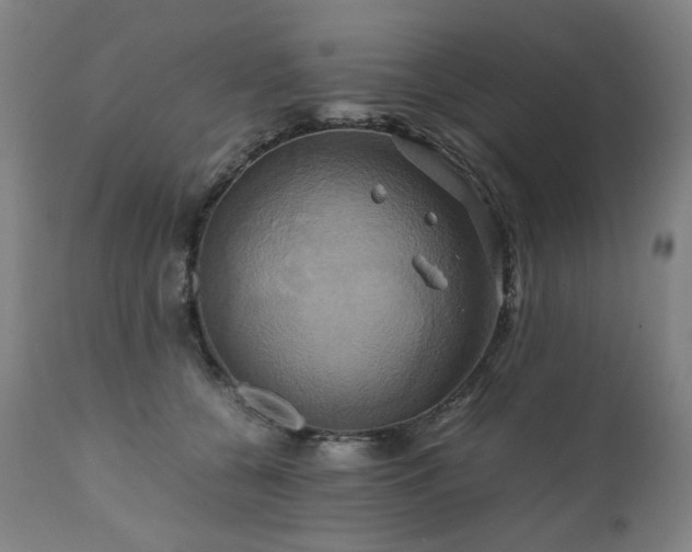 X0000110970560200906191338