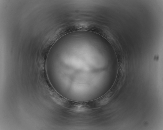 X0000110970561200906191338