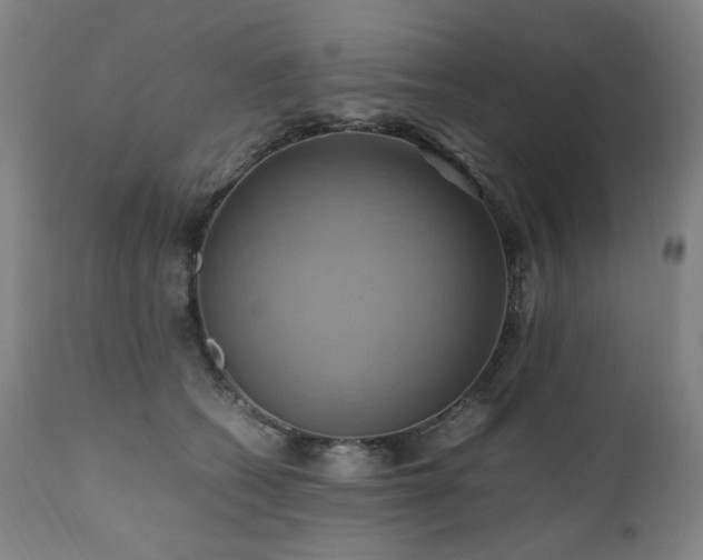 X0000110970562200906191338