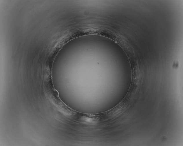 X0000110970563200906191338