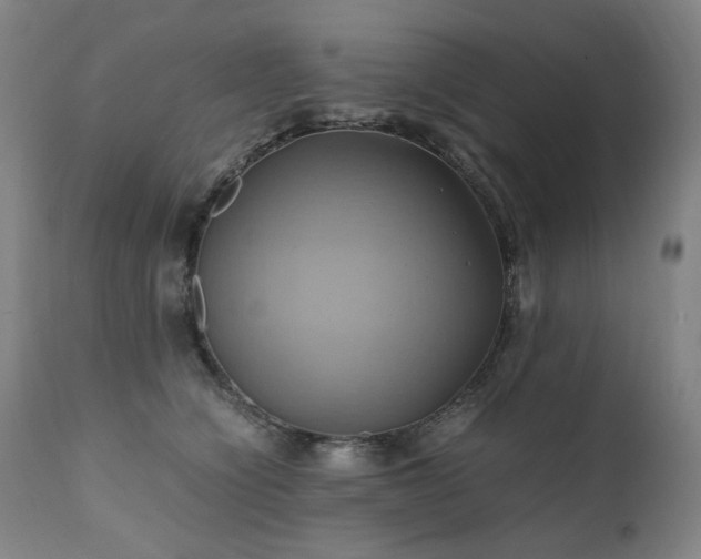 X0000110970564200906191338