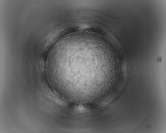 X0000110970565200906191338