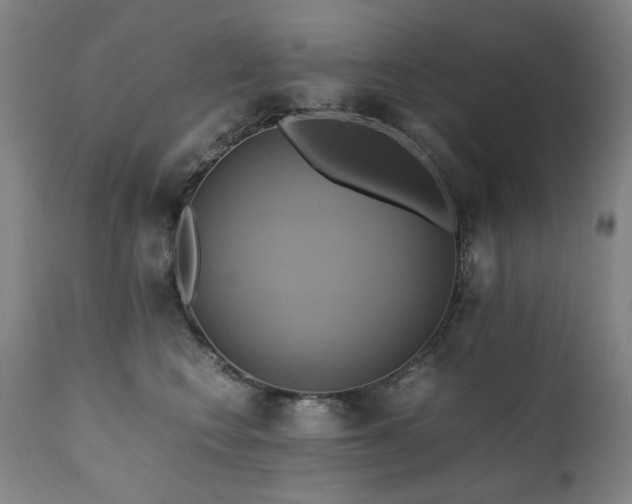 X0000110970566200906191338