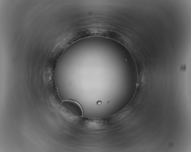 X0000110970567200906191338