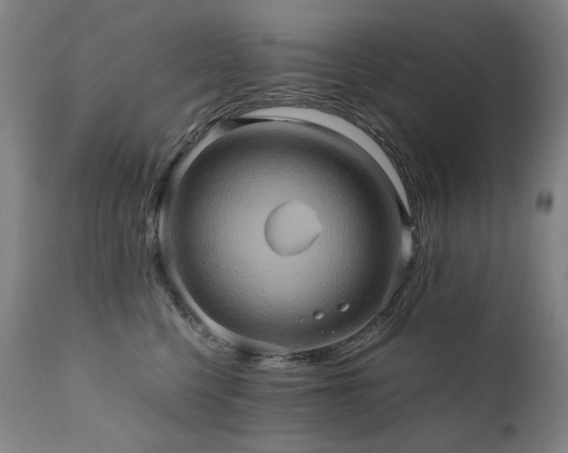 X0000110970568200906191338