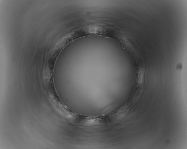 X0000110970569200906191338