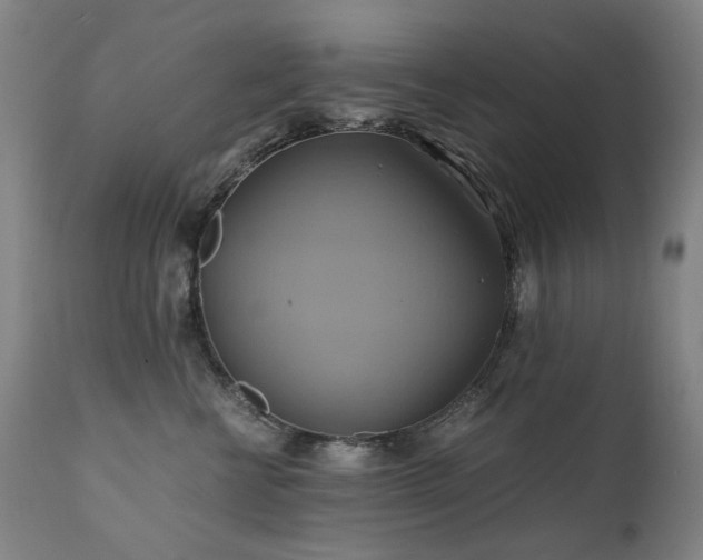 X0000110970570200906191338