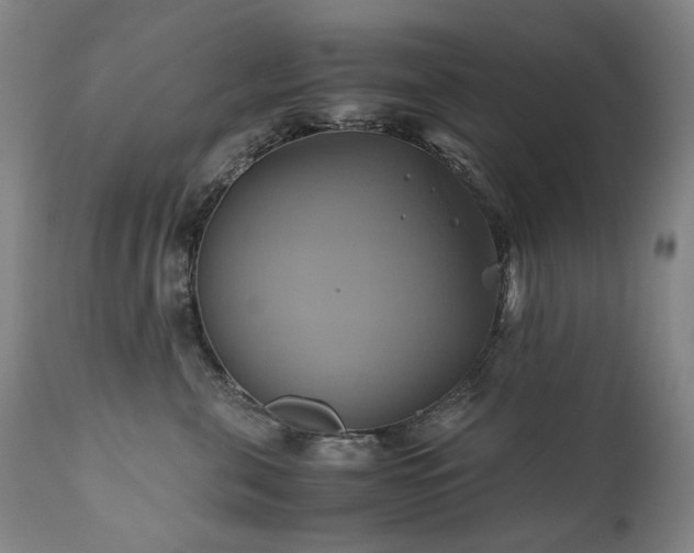 X0000110970571200906191338