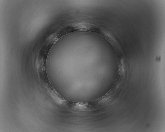 X0000110970573200906191338