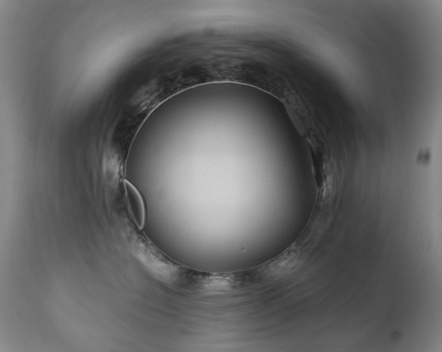 X0000110970574200906191338