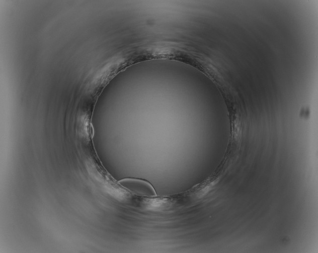 X0000110970575200906191338