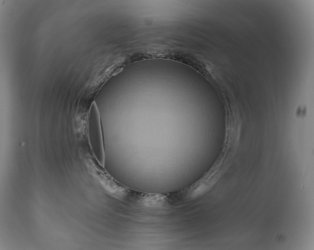 X0000110970576200906191338