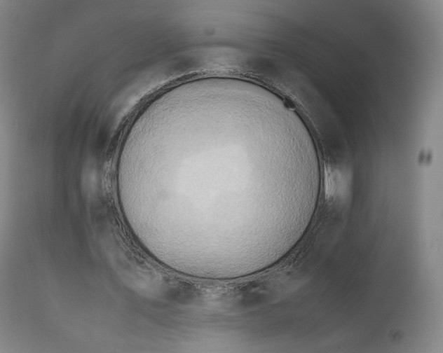 X0000110970579200906191337