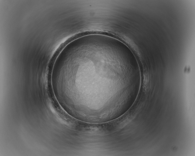 X0000110970580200906191337