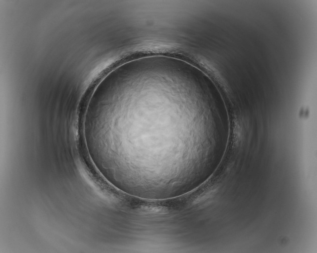 X0000110970582200906191337