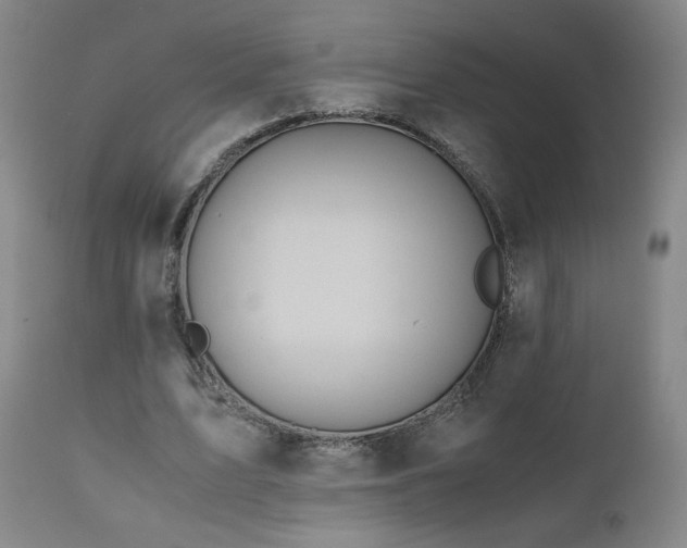 X0000110970583200906191337