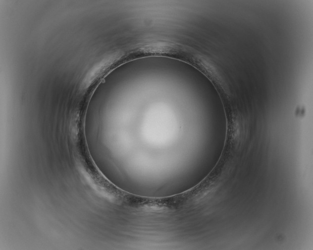 X0000110970586200906191337