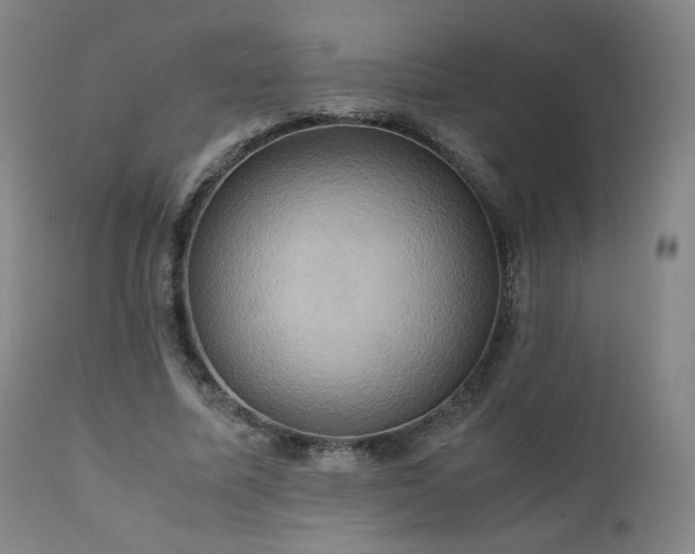 X0000110970587200906191337