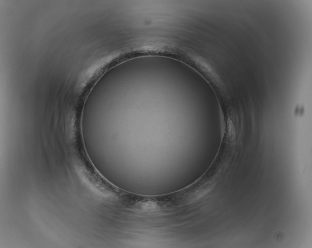 X0000110970588200906191337