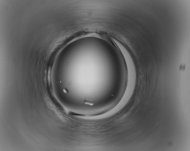 X0000110970589200906191337