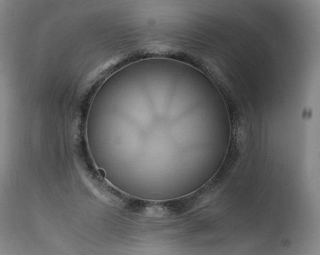 X0000110970591200906191337