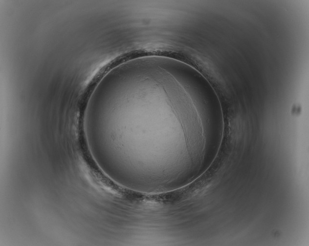 X0000110970592200906191337