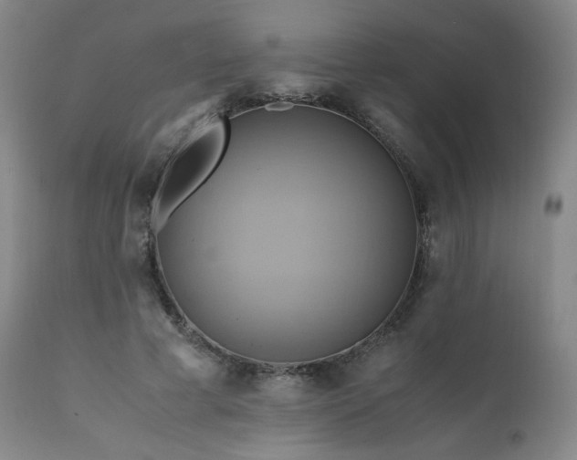 X0000110970593200906191337