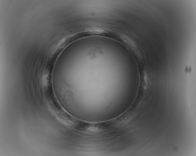 X0000110970596200906191337